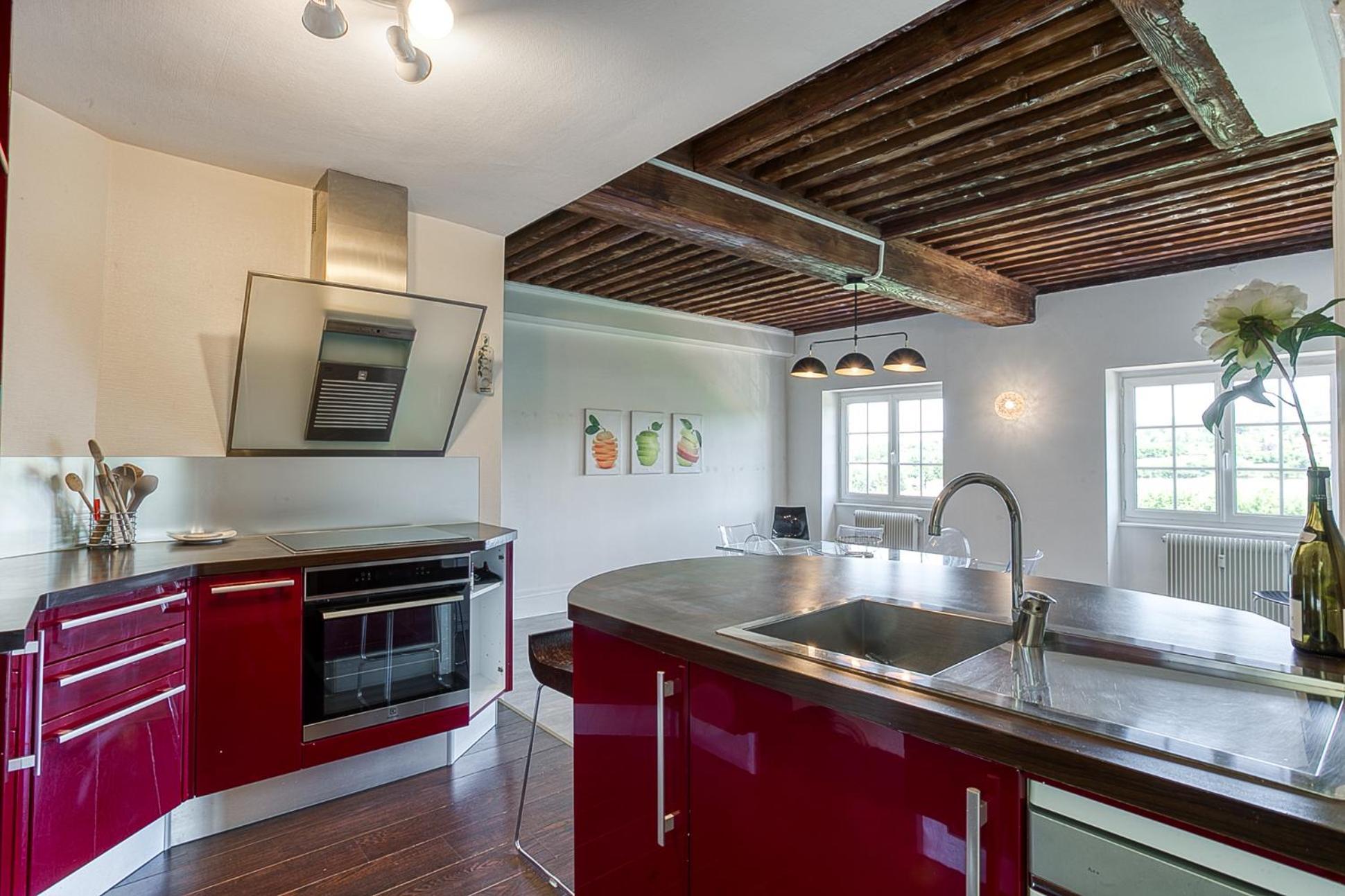 Sejourner Au Chateau De La Roue Grand Appartement Lissieu Exteriér fotografie