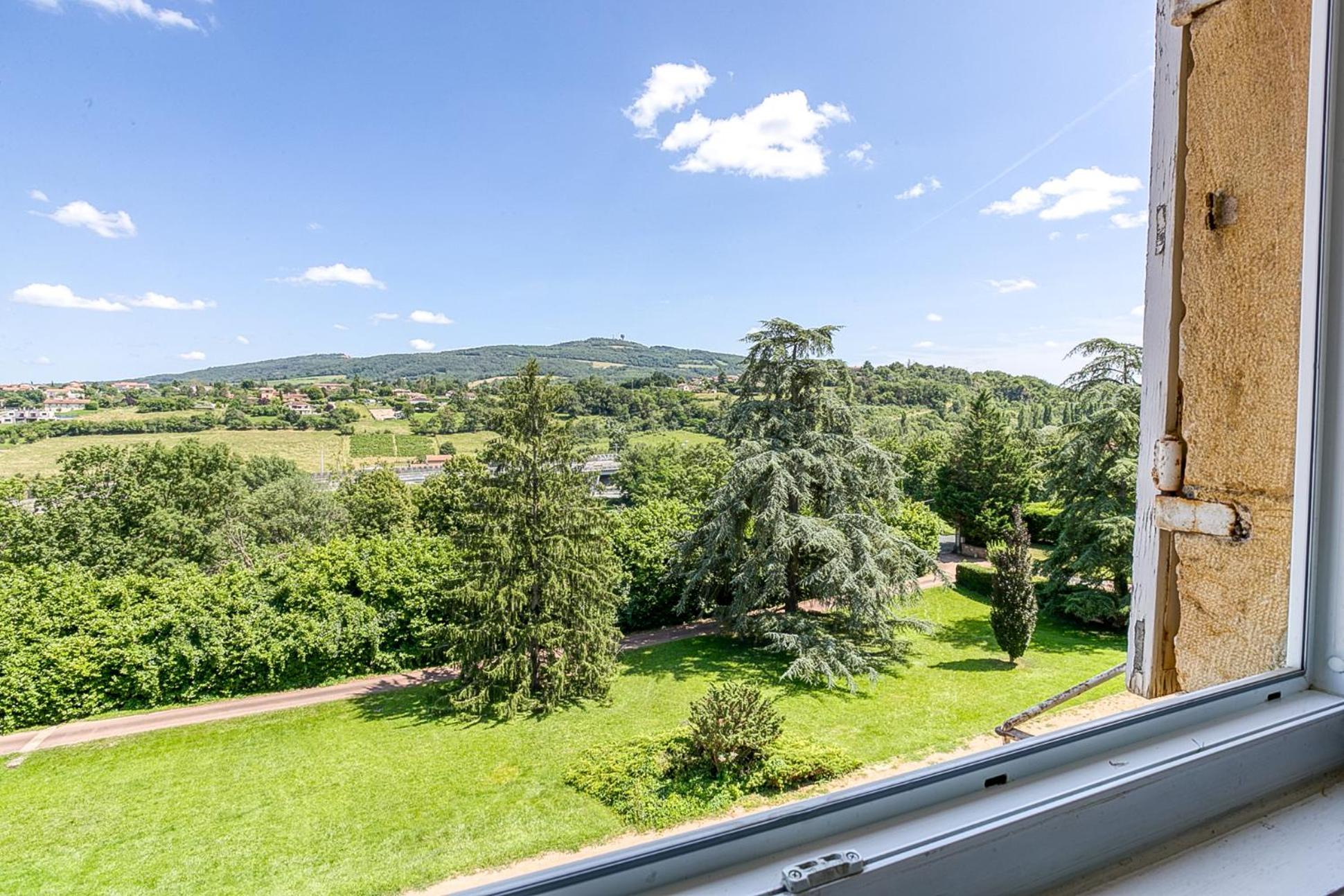 Sejourner Au Chateau De La Roue Grand Appartement Lissieu Exteriér fotografie